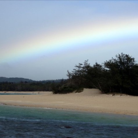 Maui Rainbow